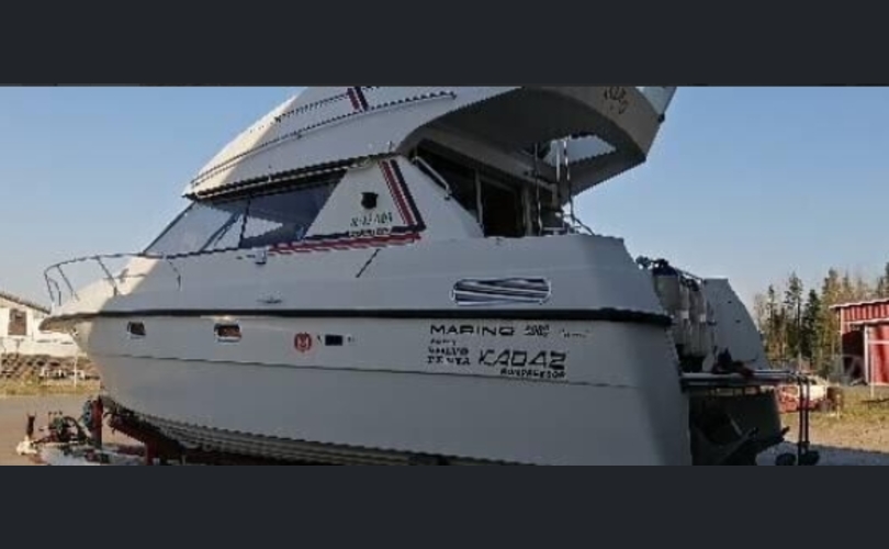 Marino Barracuda fly-kuva-6